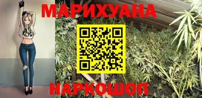 прущие грибы Можайск