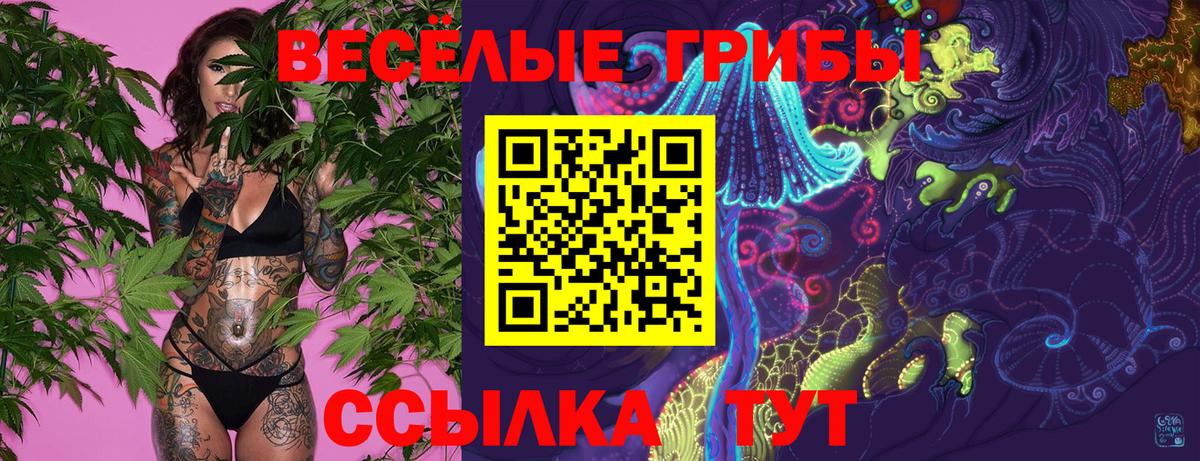 Псилоцибиновые грибы MAGIC MUSHROOMS  Псилоцибиновые грибы Cubensis  Усть-Илимск  Вход с VPN 